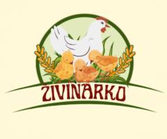 Nemanja Zivinarko