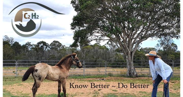 ConsciousHorse ConsciousHuman