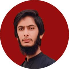 Haseeb Sultan