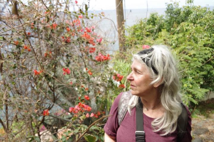 Carola Eichhorn