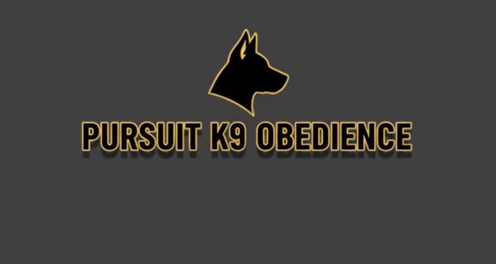 Pursuit K9 : Unmasked
