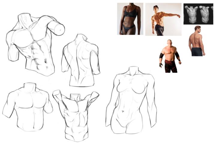 (Cams - Week 1- Torso)