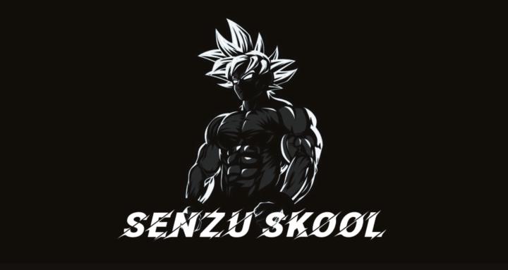 Senzu School