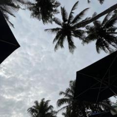 Tochenali agnoro Annie