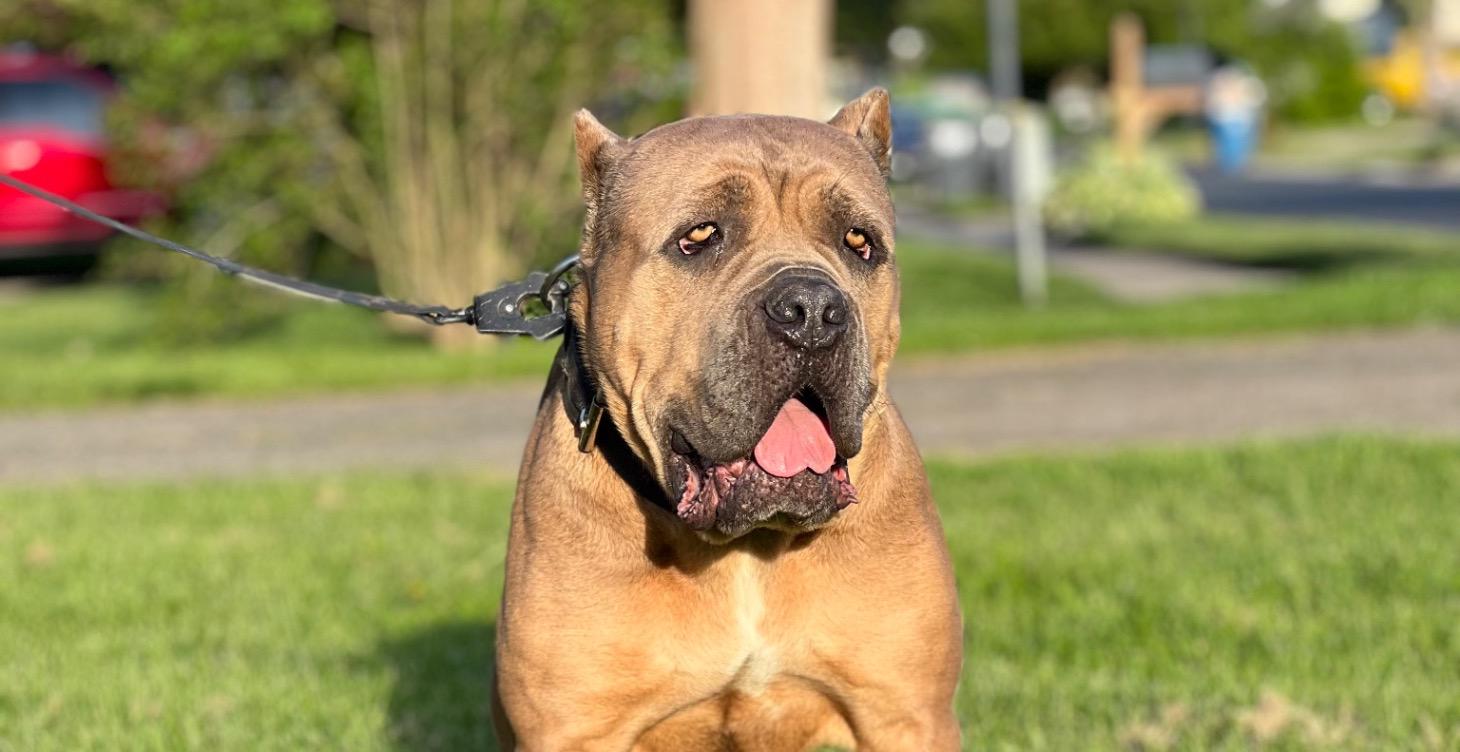 🟢 Lesson 6: Protecting Your Creative Energy 🔒