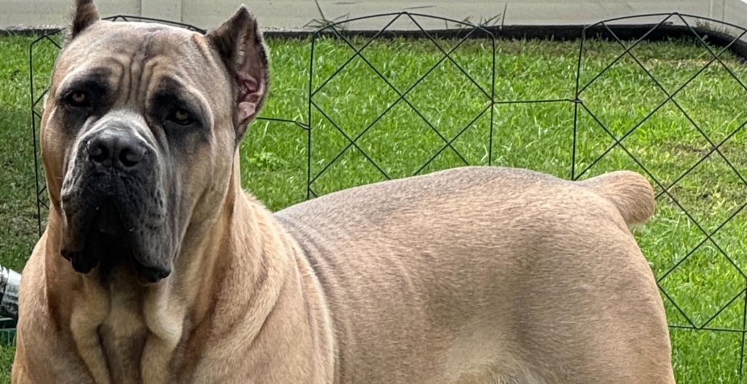 🧱 The 3-Part Creator Week