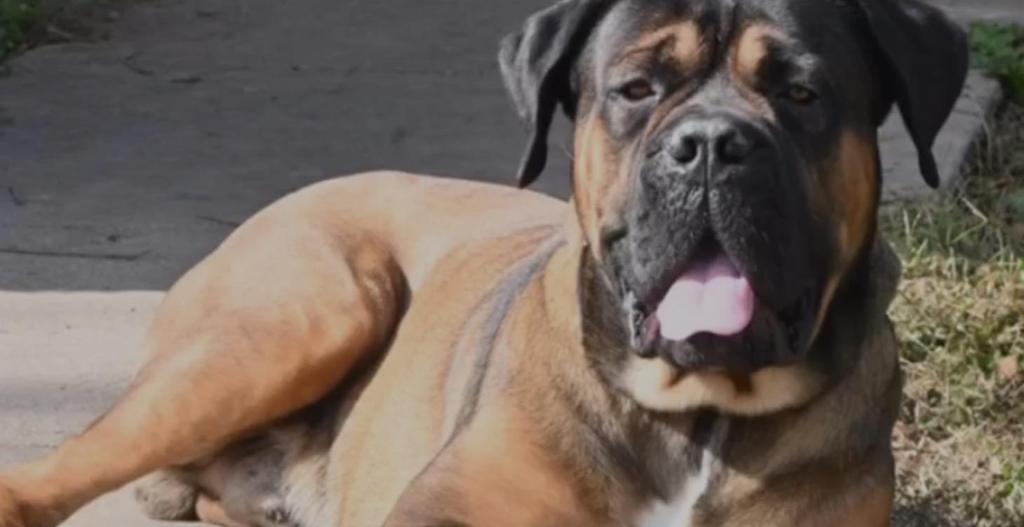 🎯 What You’ll Learn