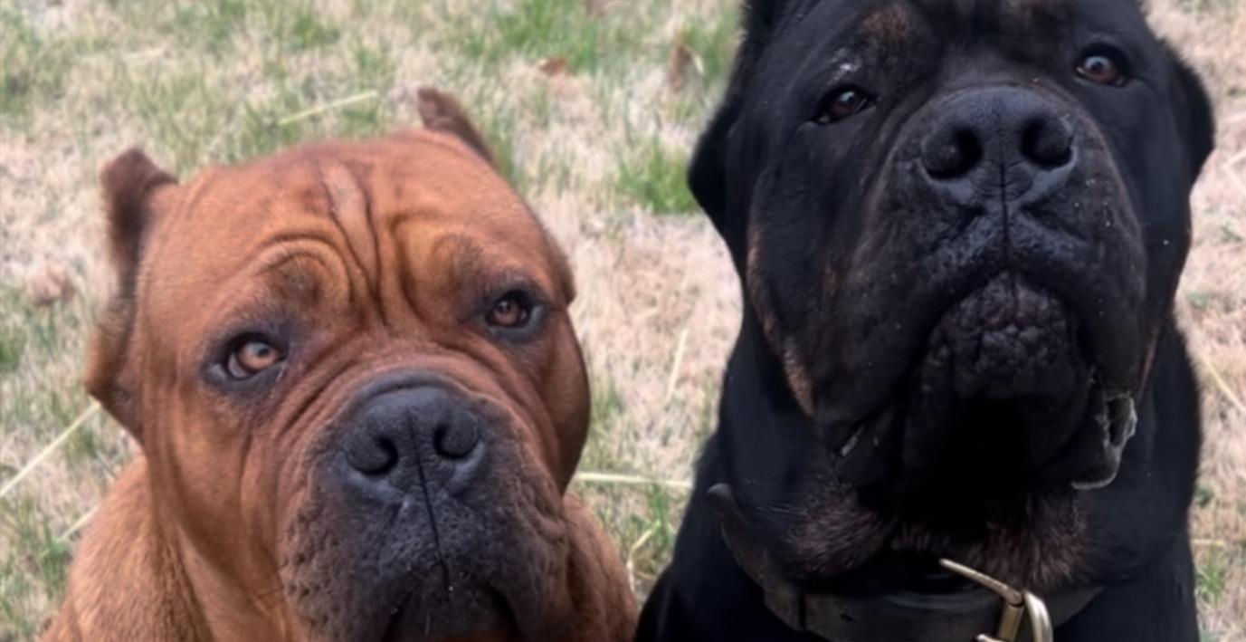 🚀 The Batching Flow