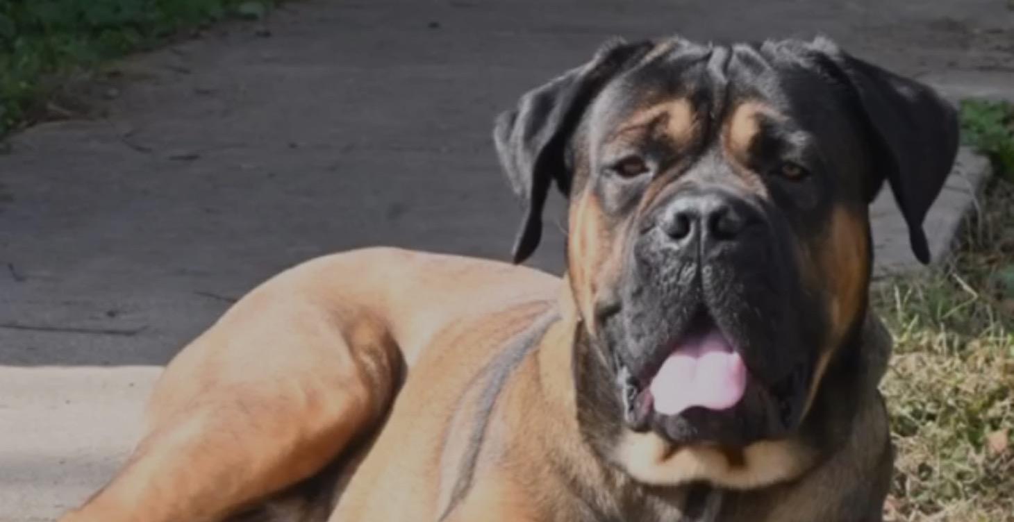 🟢 Lesson 1: Finding Your Creative Momentum ✨