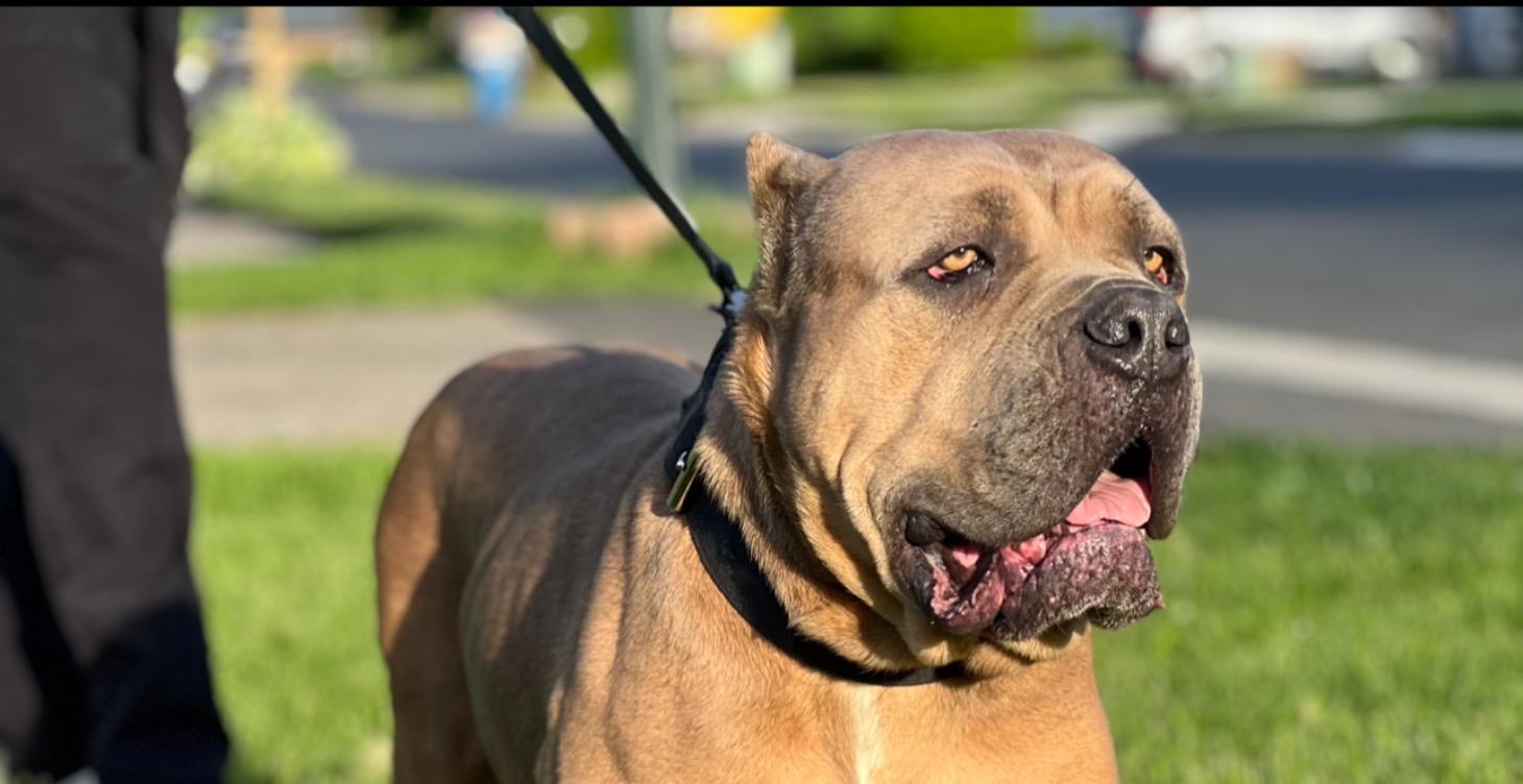 🛡️ 3 Energy Killers to Avoid