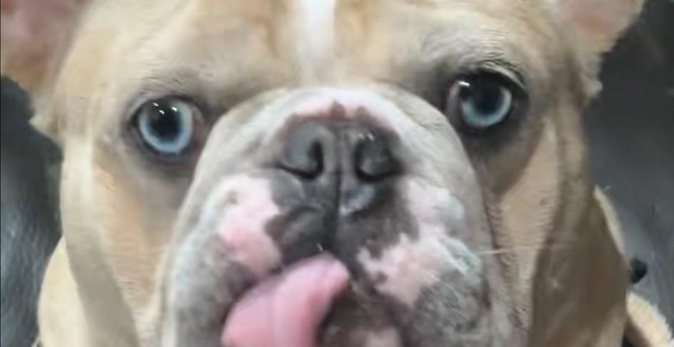 🟢 Lesson 2: Understanding Your Creative Cycles 🔄