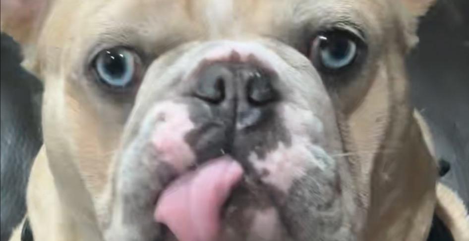 🔄 The Four Creative States