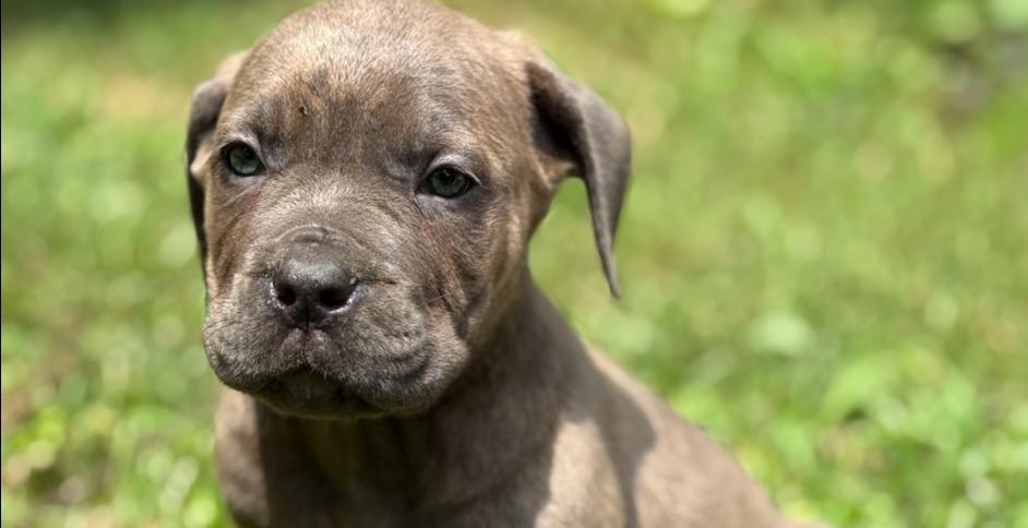 🎯 What You’ll Learn