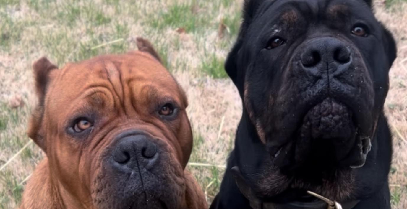 🎯 What You’ll Learn