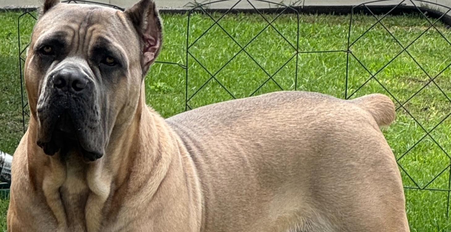 🟢 Lesson 3: Building a Weekly Creator Rhythm 📆