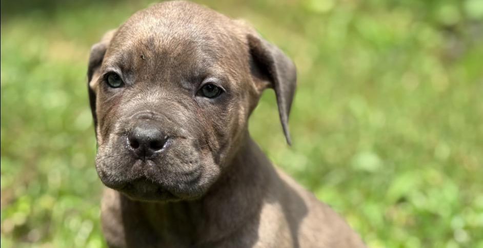 ⚡ The 10-Minute Unblock Method