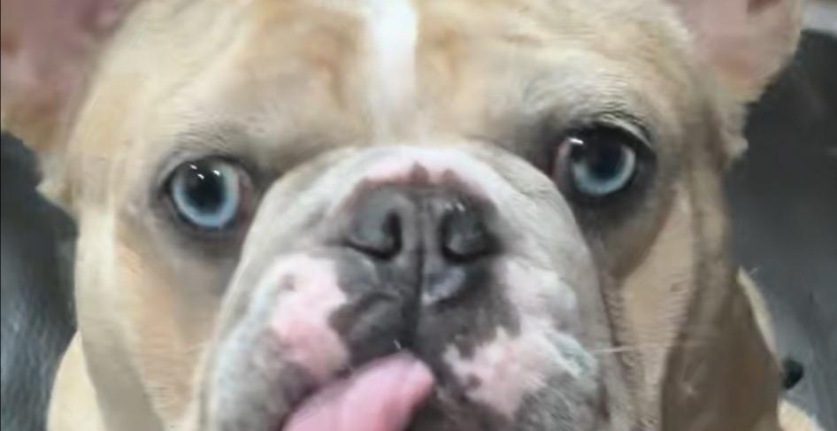 🎯 What You’ll Learn