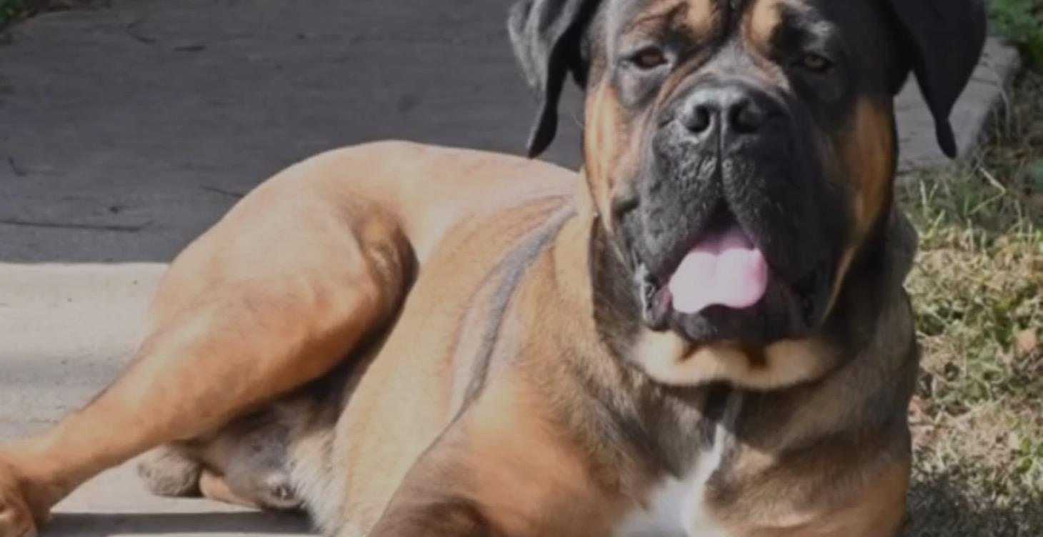 ⚡ Momentum Exercise (2 Minutes)