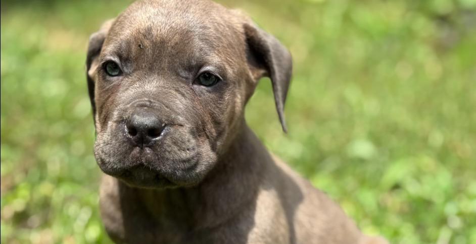 🟢 Lesson 5: How to Beat Creative Blocks 🧠