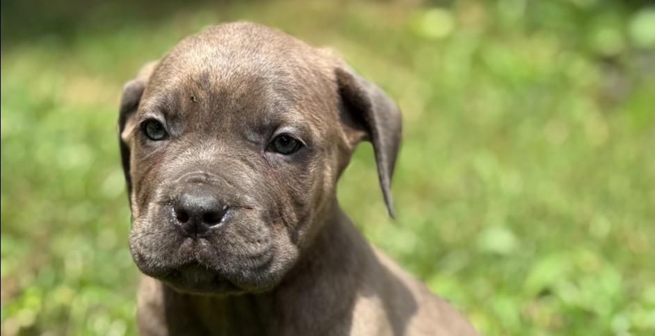 🧩 3 Types of Creative Blocks