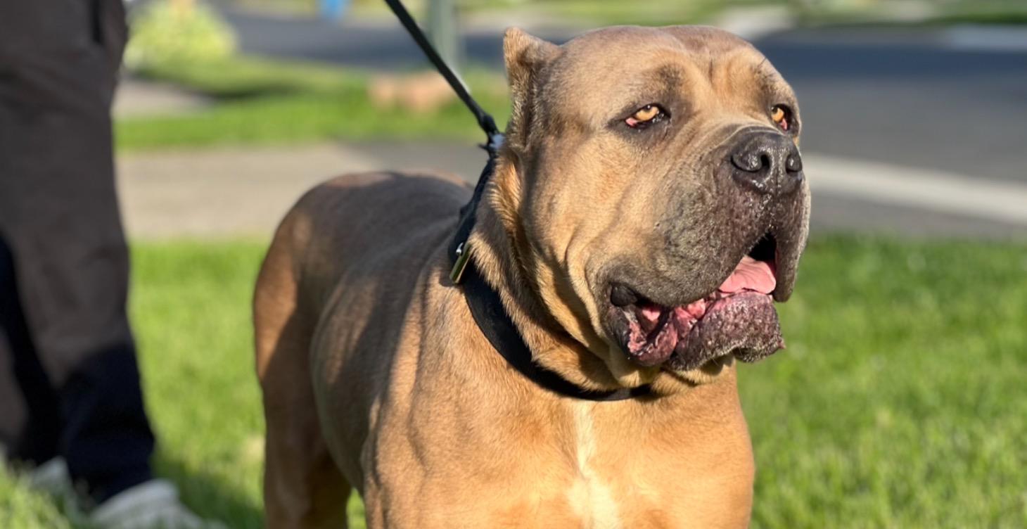 🎯 What You’ll Learn