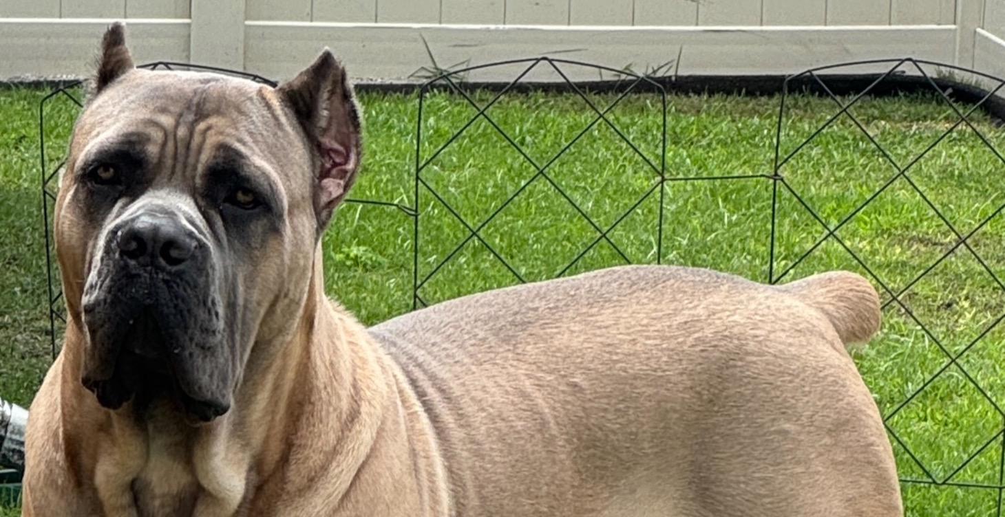 🎯 What You’ll Learn