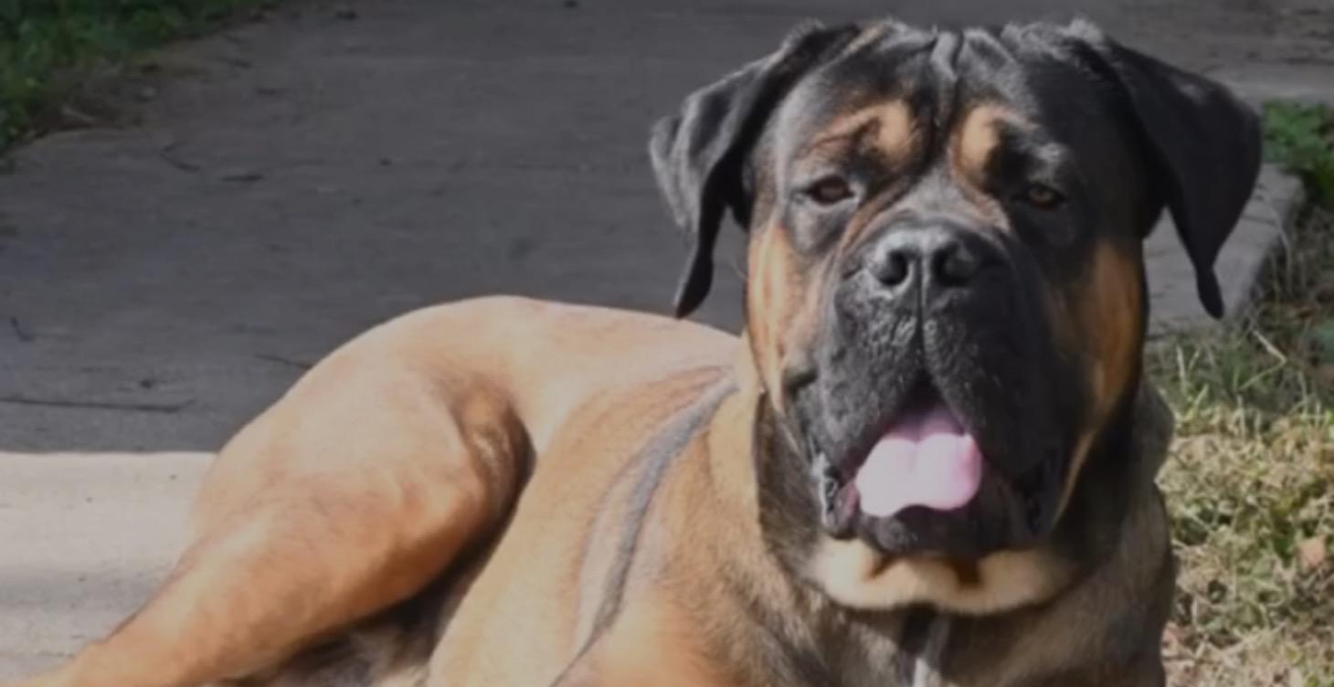 🟢 Badge: Momentum Starter