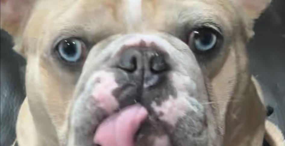 🧩 Exercise: Identify Your Cycle