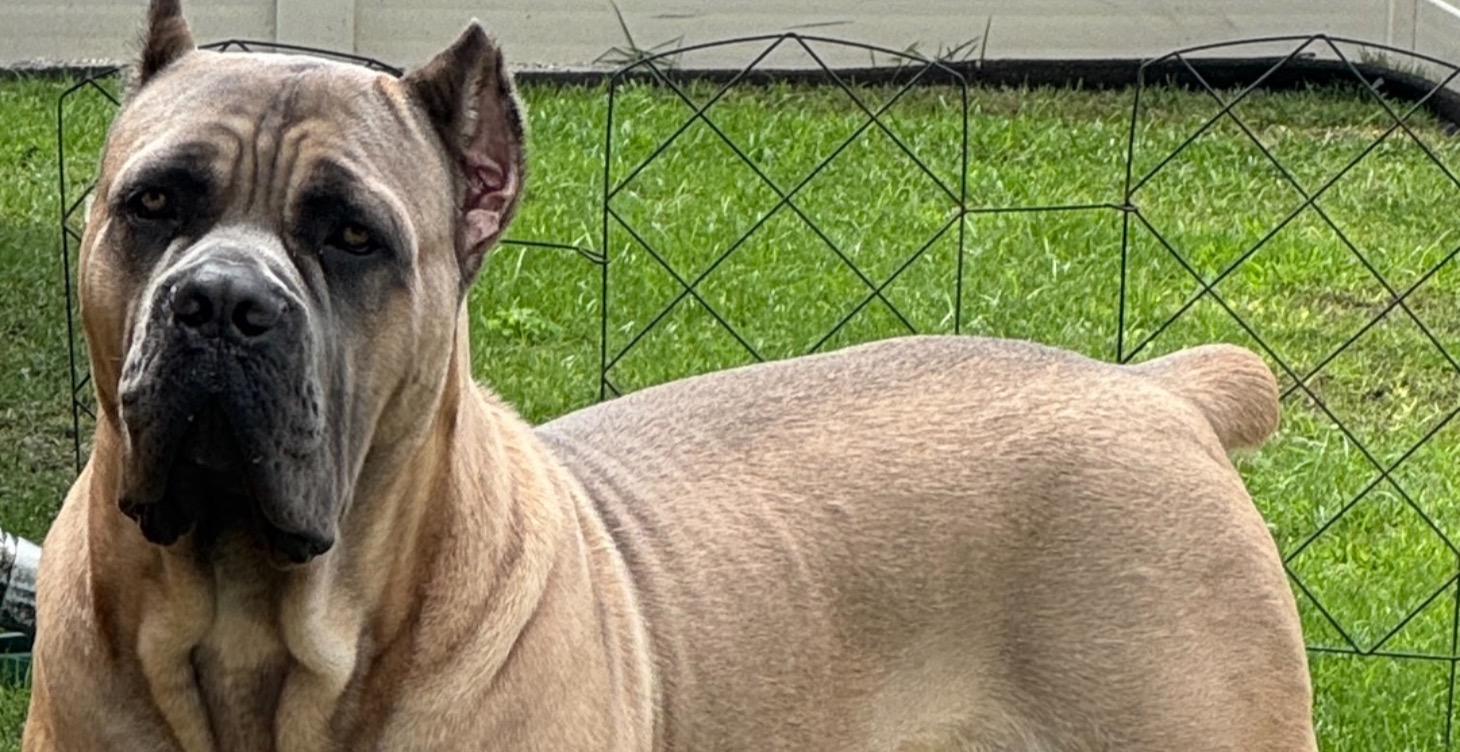 🔄 Example Weekly Rhythm