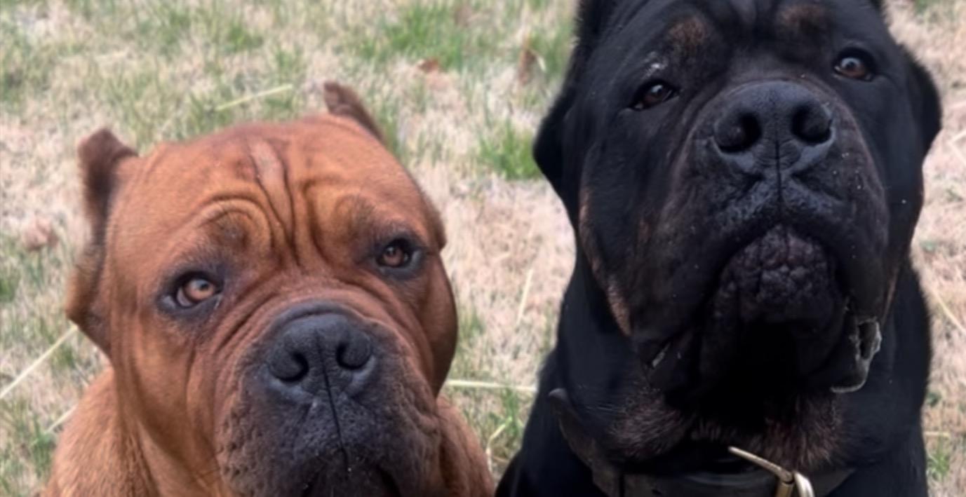 🟢 Lesson 4: Batching Like a Pro ⚙️