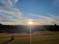 Nick Trevor-Layfield