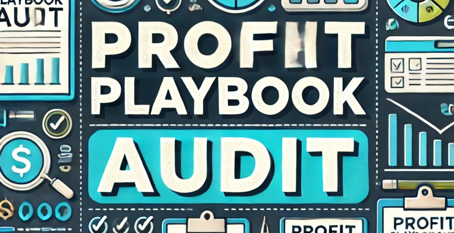 Personalized Profit Playbook Audit