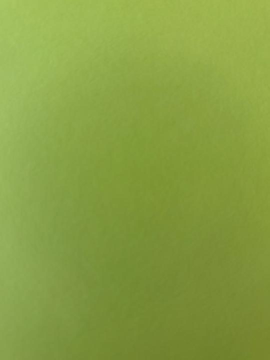 Karen Olson