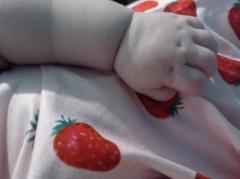 Elizabeth Maldonado Garcia