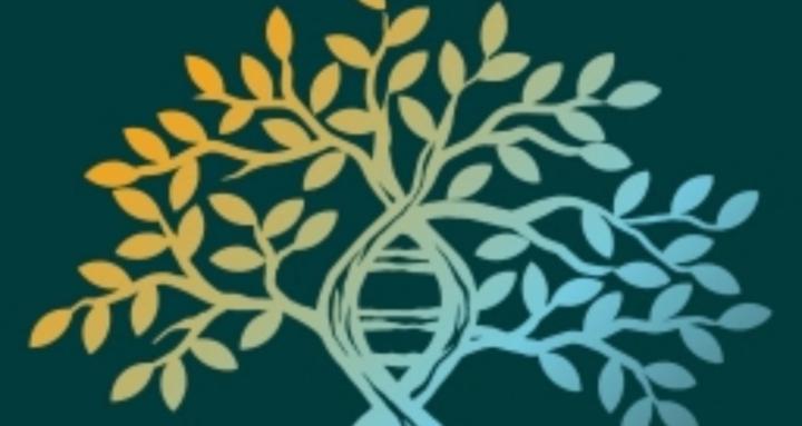 suverenhacker klubben