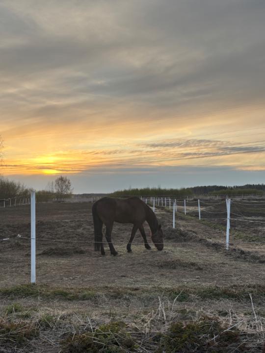 Abhishekkumar Kakadiya