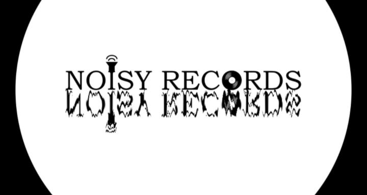 NoisyRecords