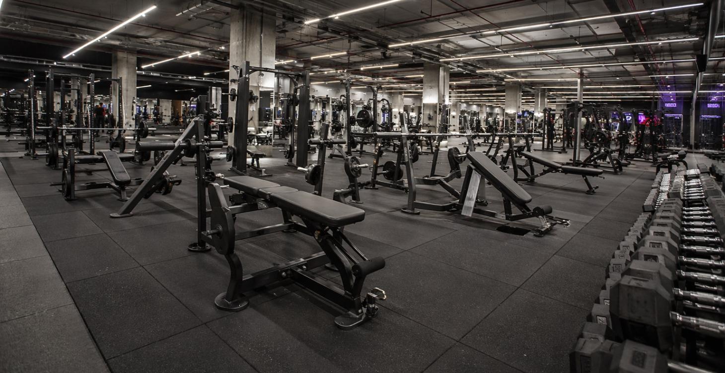 THE GYM