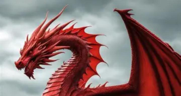 red dragon self taught