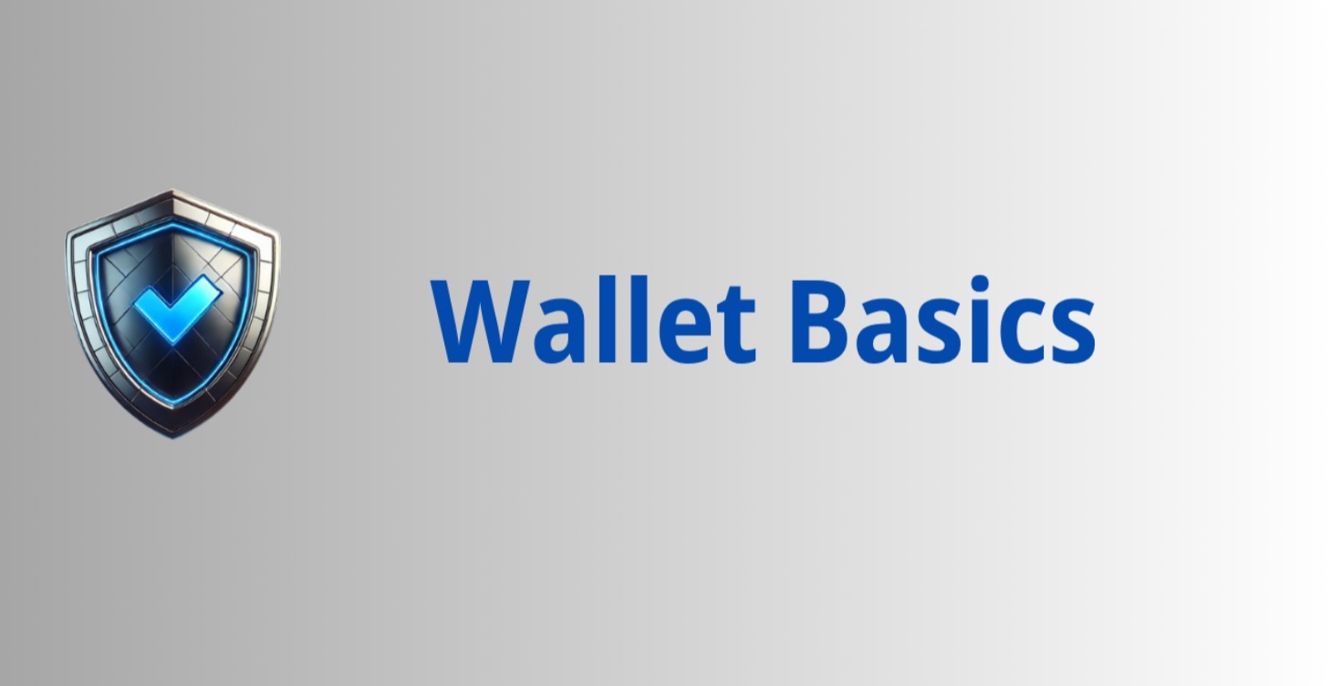 6 Wallet Basics