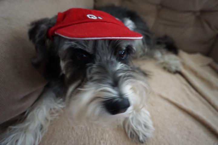 Sally Staffeldt-Mollenhauer