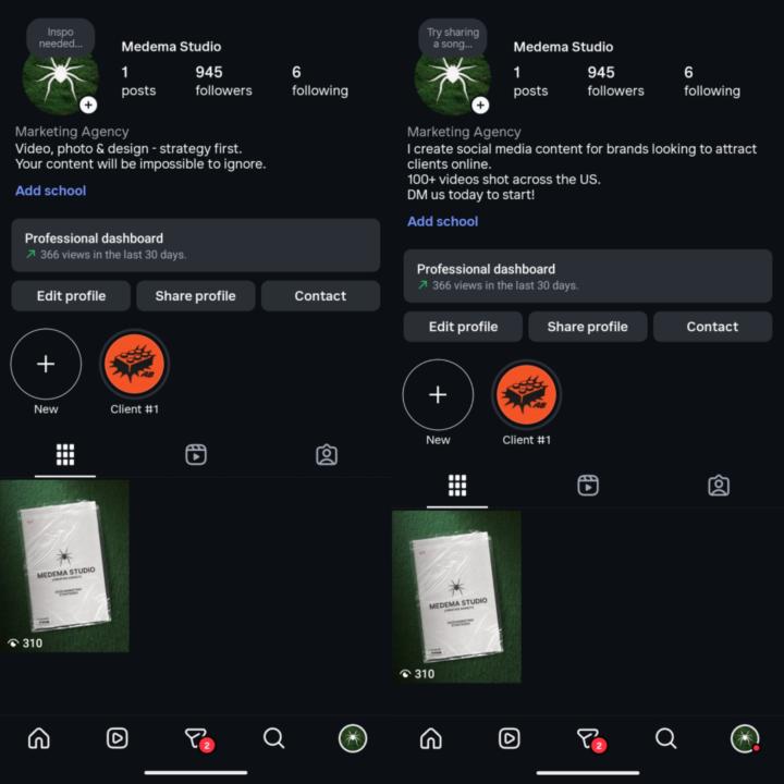 Before and After IG Bios for Feedback