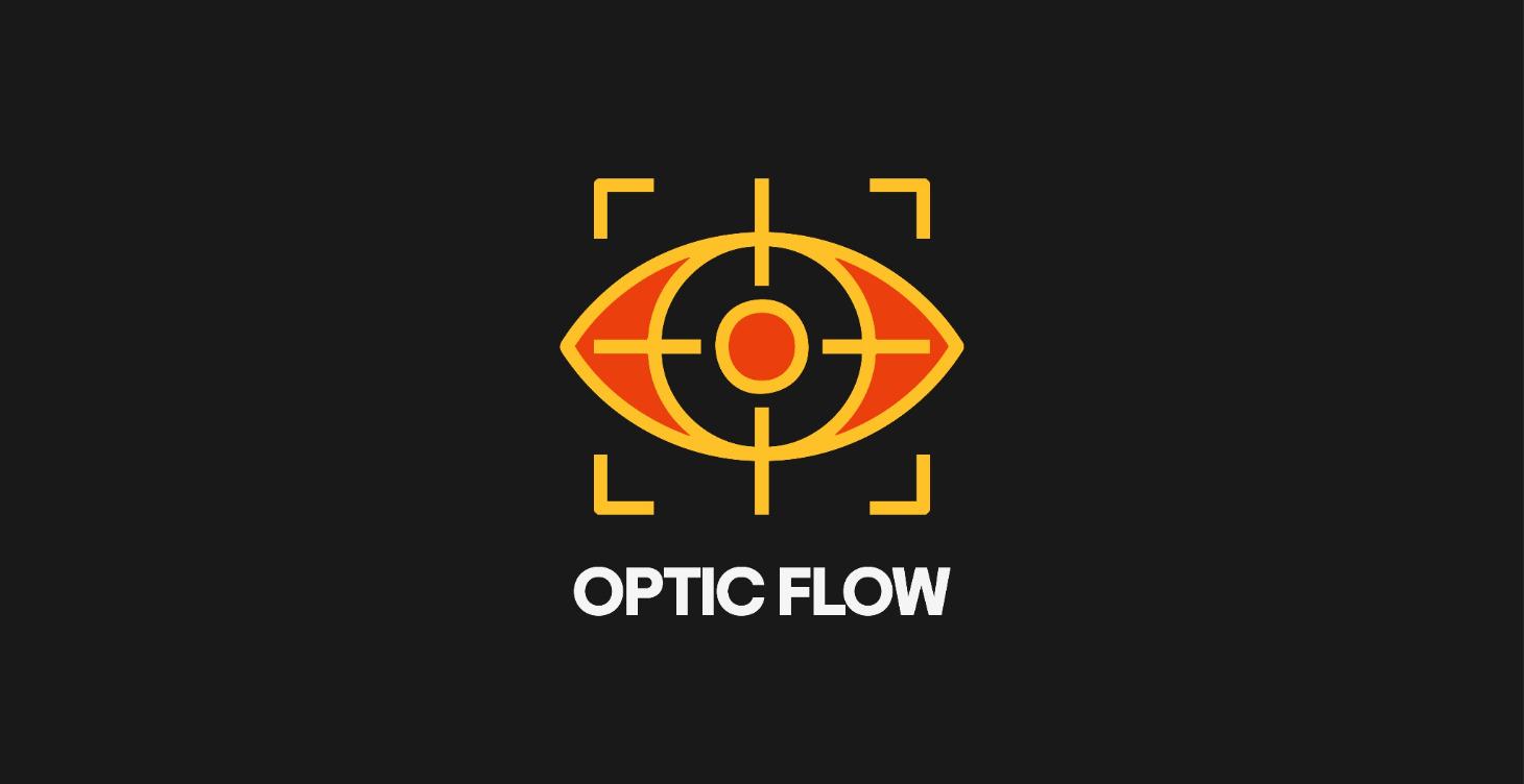 7. Optic Flow