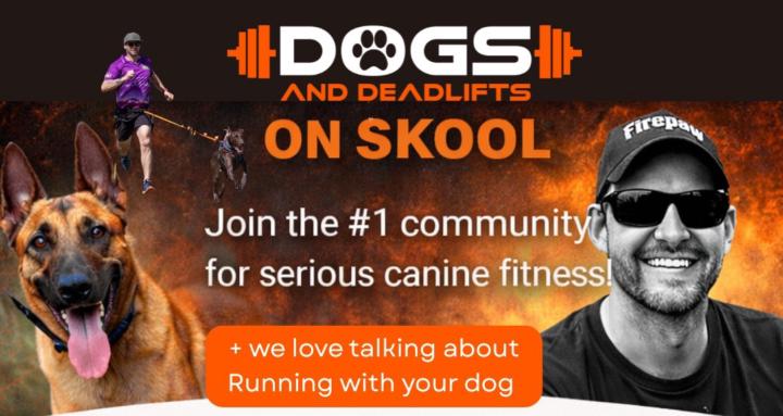 Driven to Move - Dog Fitness