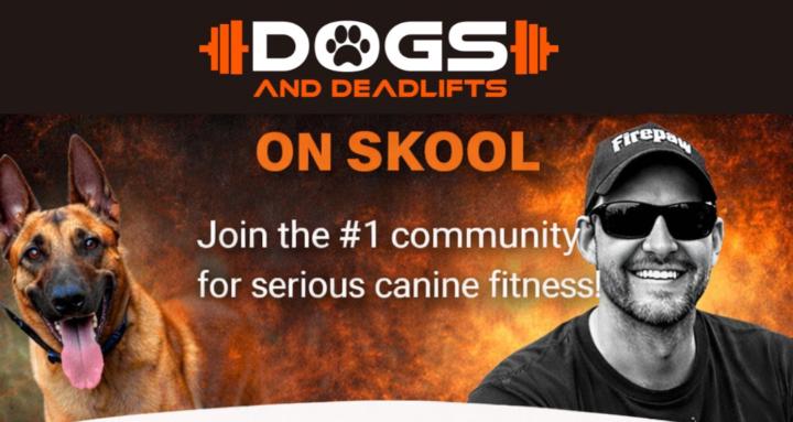 Driven to Move - Dog Fitness