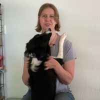 Elise Boonstra