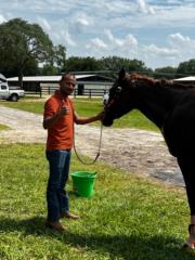 Mario Alfonso Rito Martinez