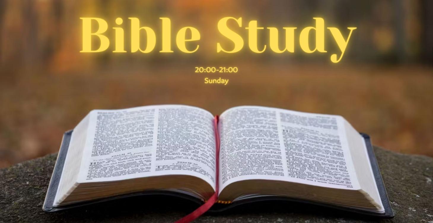 Bible Study