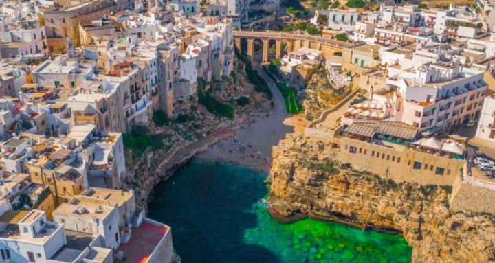 The Purpose Collective