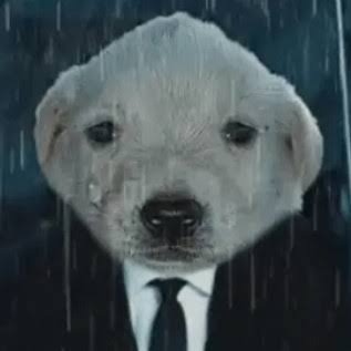 Jeff Pedro Fernández Bernardo